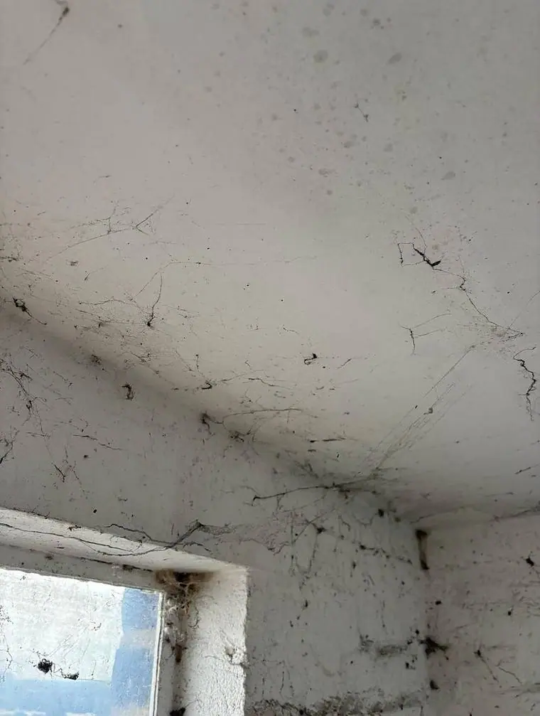 Movement or subsidence — Underpinning by Ogival in West London