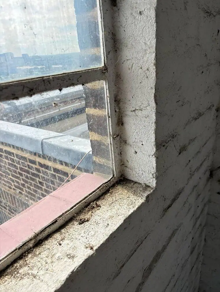 Lead flashings — Roofing by Ogival in West London